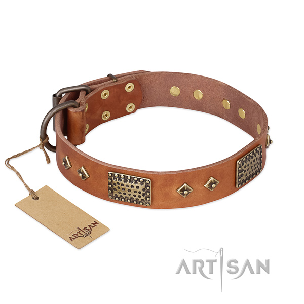 Impressive full grain genuine leather dog collar for basic training