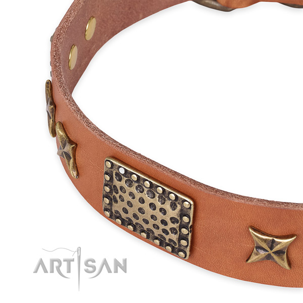 Full grain genuine leather collar with rust resistant traditional buckle for your handsome four-legged friend