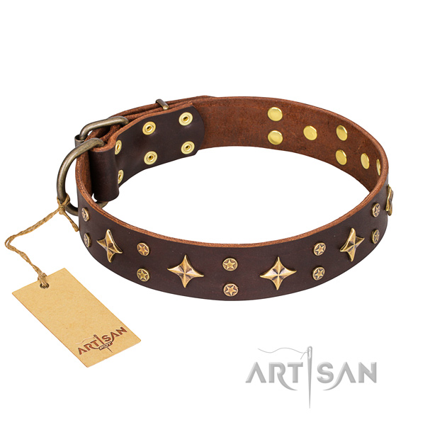 Stylish walking dog collar of durable full grain leather with studs