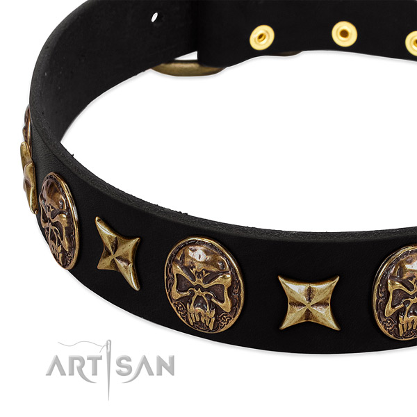 Corrosion resistant embellishments on leather dog collar for your four-legged friend