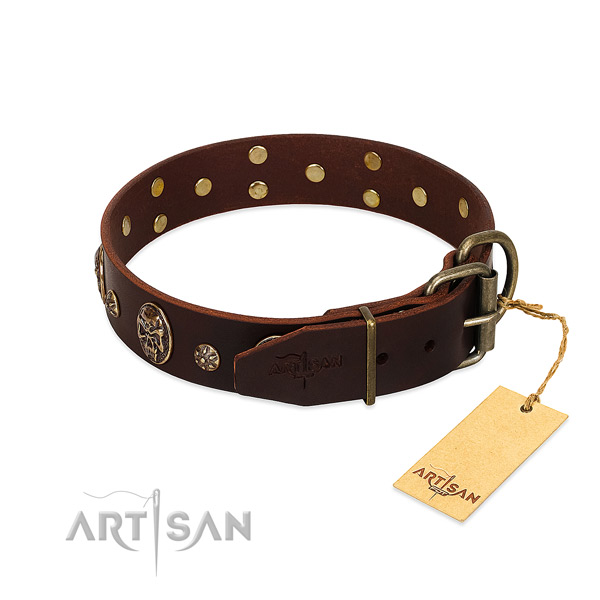 Rust resistant studs on leather dog collar for your four-legged friend