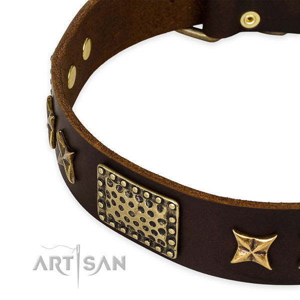 Genuine leather collar with reliable hardware for your attractive doggie