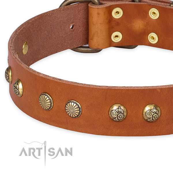 Full grain leather collar with corrosion resistant hardware for your beautiful four-legged friend