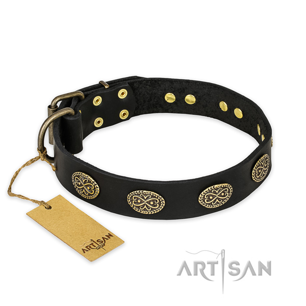 Significant leather dog collar with corrosion resistant fittings