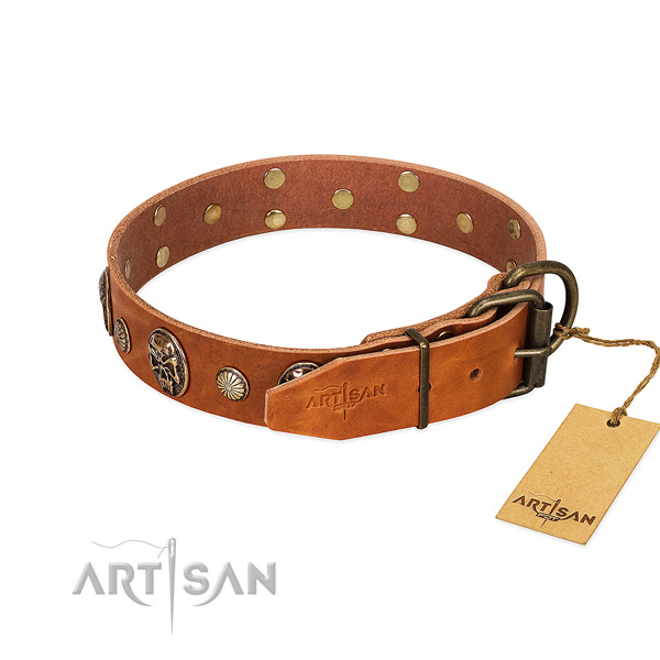Rust resistant D-ring on full grain leather collar for basic training your doggie