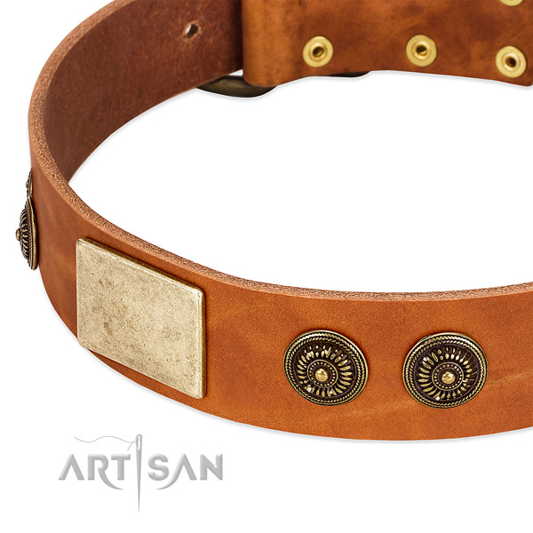Unusual dog collar crafted for your impressive doggie