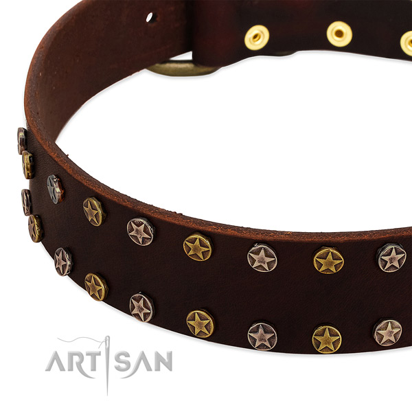 Comfortable wearing full grain genuine leather dog collar with impressive embellishments