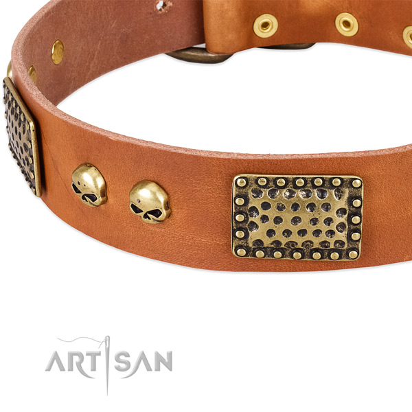 Rust-proof hardware on full grain leather dog collar for your canine