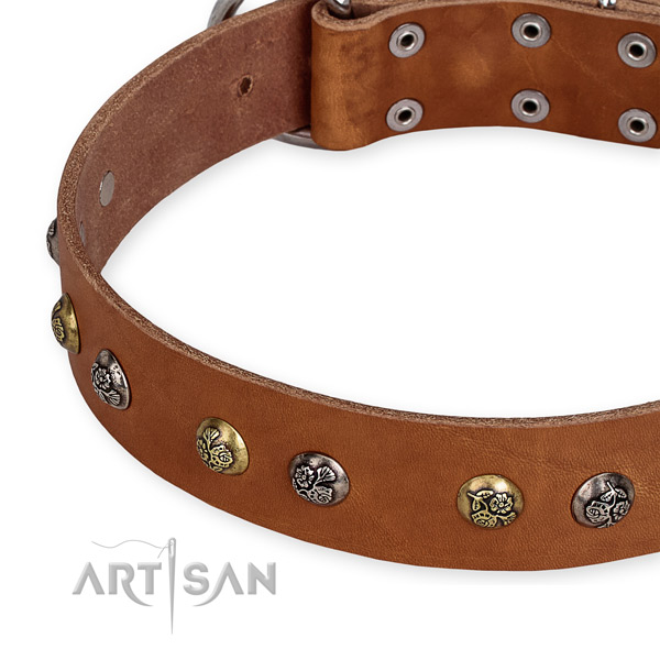 Genuine leather dog collar with extraordinary reliable embellishments