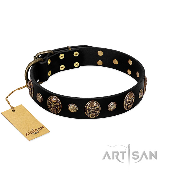 Leather dog collar of soft to touch material with unusual adornments