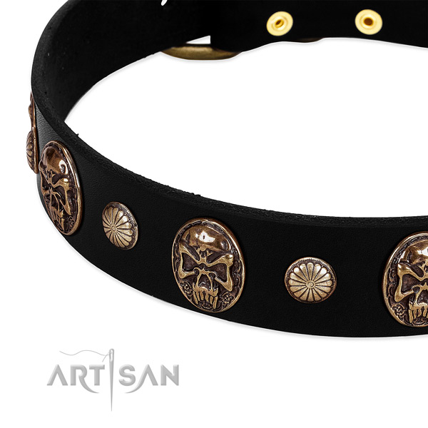 Full grain natural leather dog collar with exceptional adornments