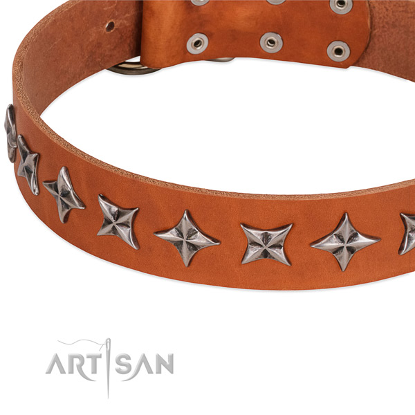 Comfy wearing studded dog collar of top quality full grain genuine leather