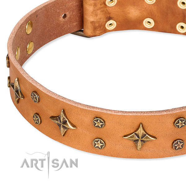 Walking decorated dog collar of durable full grain genuine leather