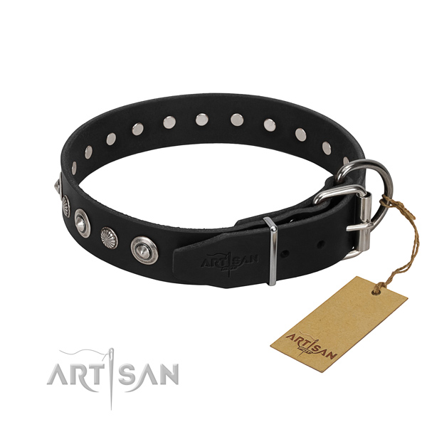 Top notch full grain leather dog collar with unusual adornments
