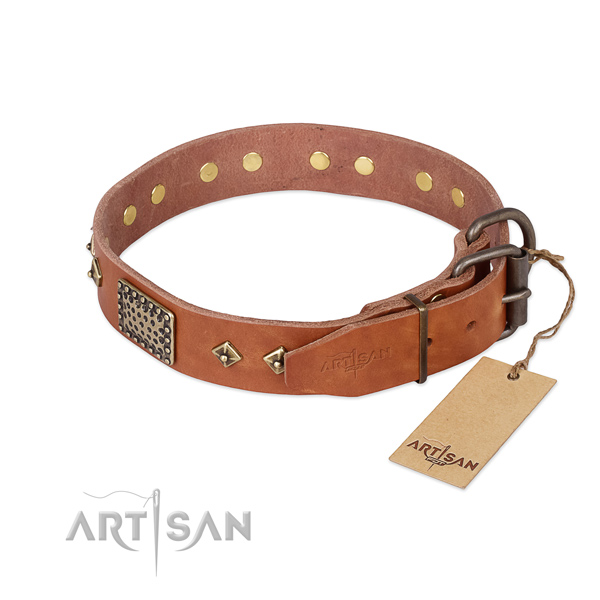 Full grain leather dog collar with strong buckle and studs