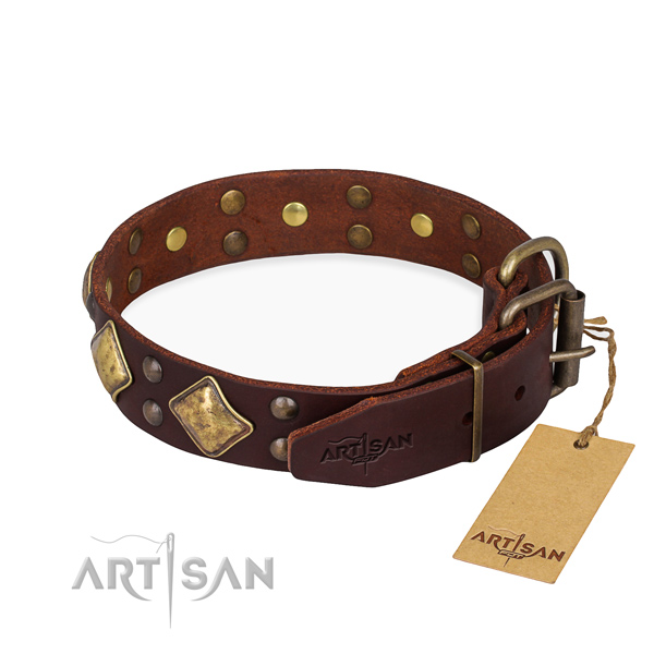 Natural leather dog collar with stylish design strong studs