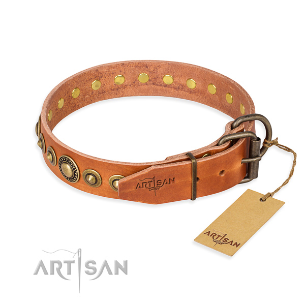 High quality full grain leather dog collar made for basic training
