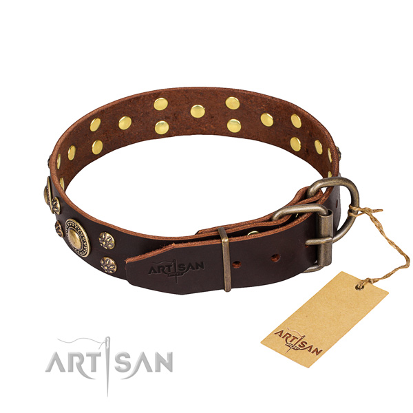 Daily walking embellished dog collar of finest quality full grain genuine leather