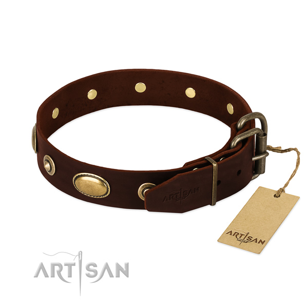 Rust resistant embellishments on full grain genuine leather dog collar for your pet