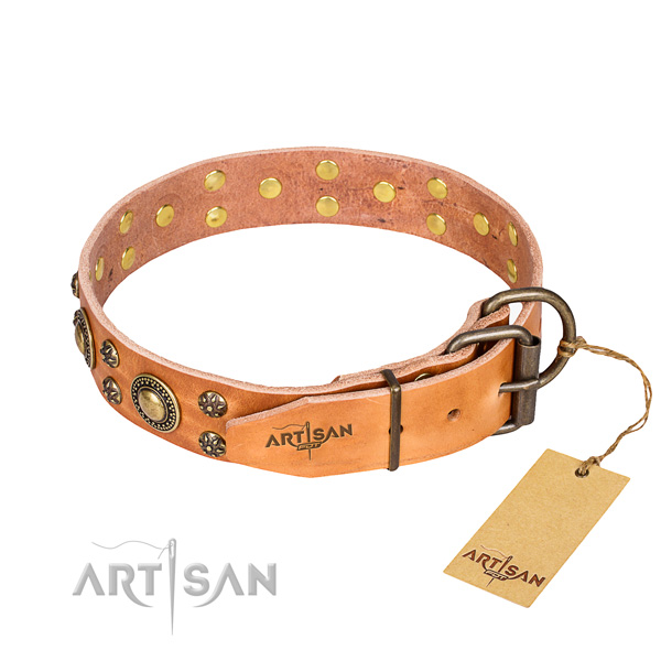 Stylish walking decorated dog collar of fine quality full grain leather