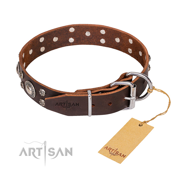 Fancy walking adorned dog collar of top notch natural leather