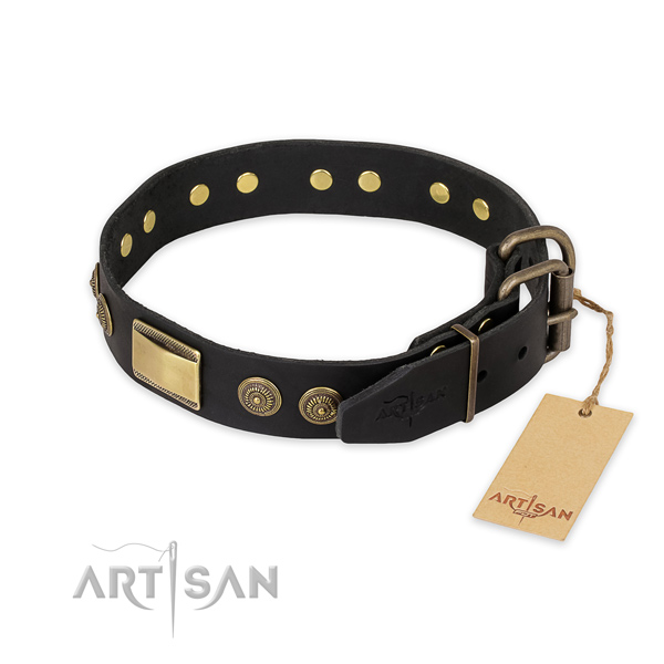 Corrosion resistant traditional buckle on full grain leather collar for walking your four-legged friend