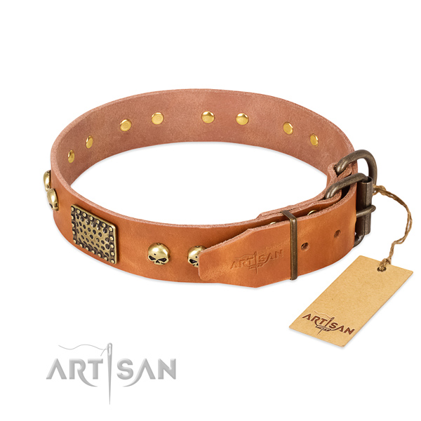 Rust-proof adornments on walking dog collar