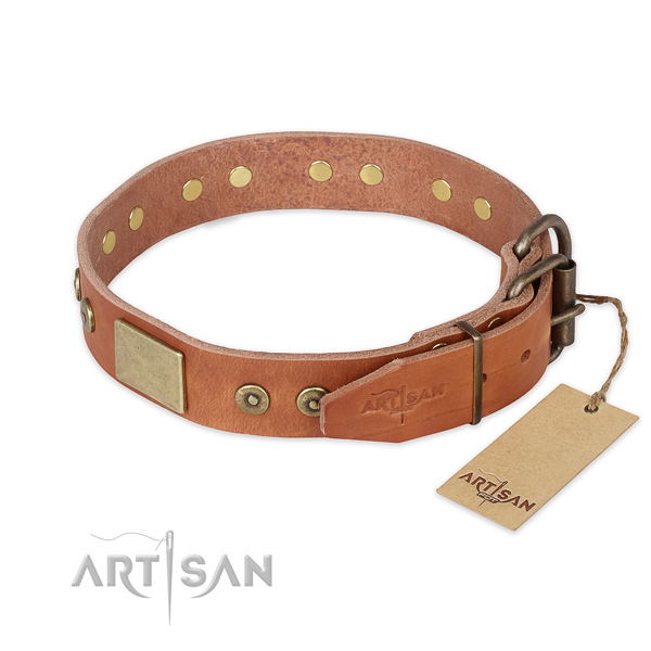 Strong fittings on genuine leather collar for daily walking your four-legged friend