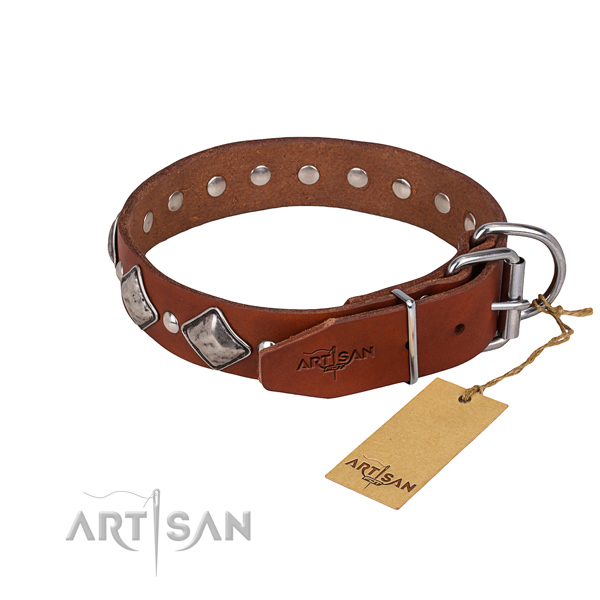 Stylish walking adorned dog collar of top quality full grain natural leather