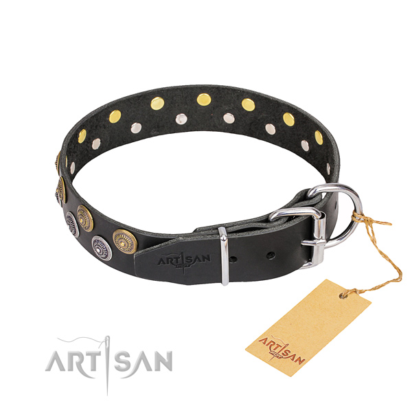 Everyday use adorned dog collar of durable full grain natural leather