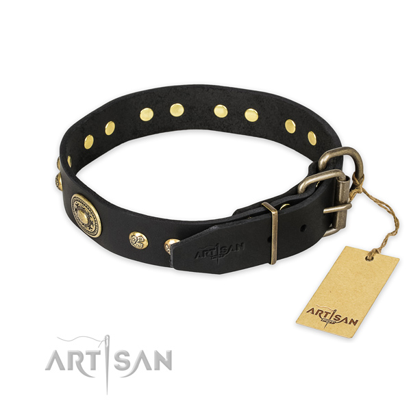 Corrosion resistant hardware on full grain genuine leather collar for everyday walking your four-legged friend