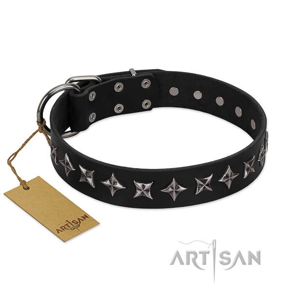 Comfortable wearing dog collar of top notch natural leather with decorations