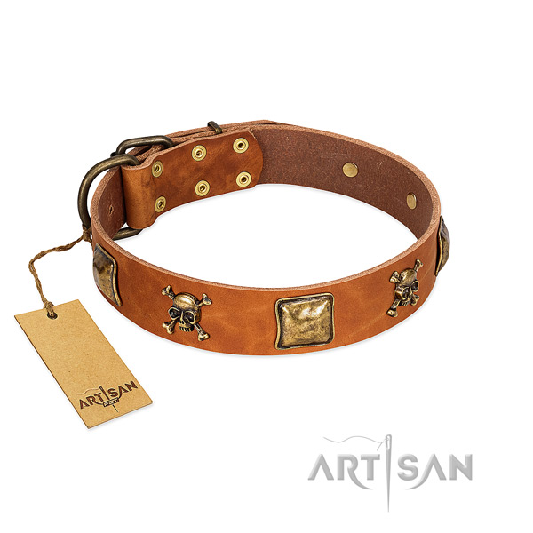 Unique full grain leather dog collar with durable decorations