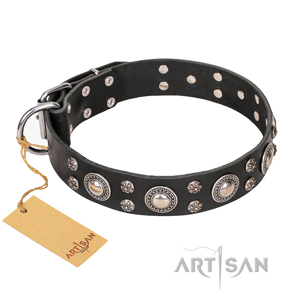 Everyday use dog collar of high quality full grain natural leather with embellishments