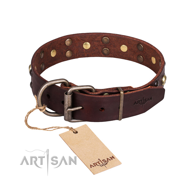 Basic training embellished dog collar of finest quality full grain leather
