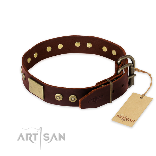 Durable decorations on daily use dog collar