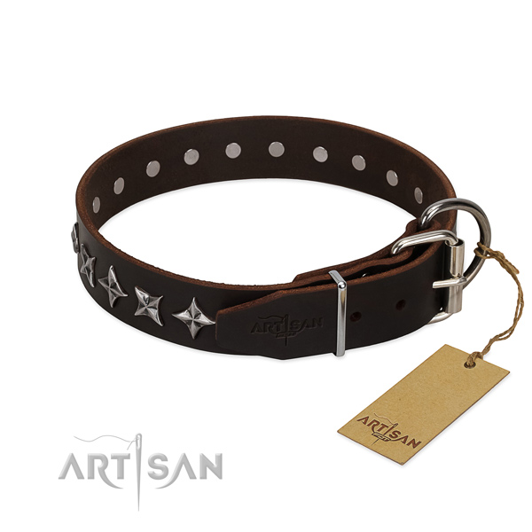 Everyday use studded dog collar of best quality natural leather