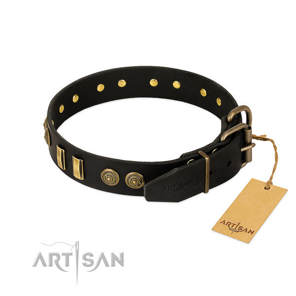 Reliable adornments on full grain natural leather dog collar for your canine
