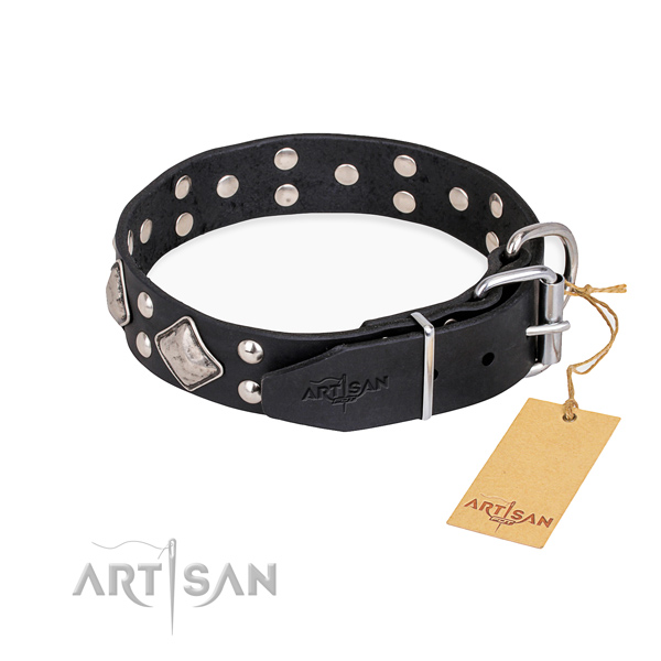 Full grain genuine leather dog collar with significant corrosion resistant adornments