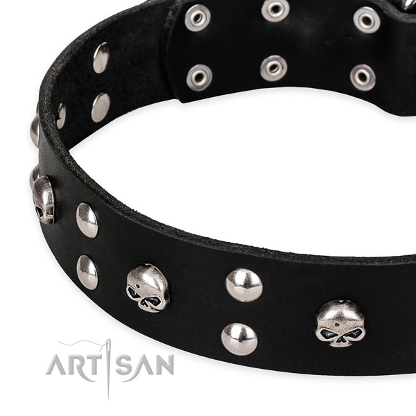 Walking embellished dog collar of reliable leather