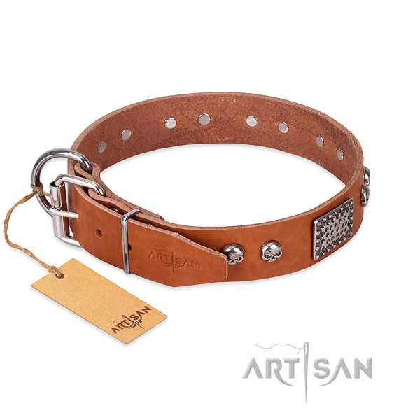 Strong embellishments on walking dog collar