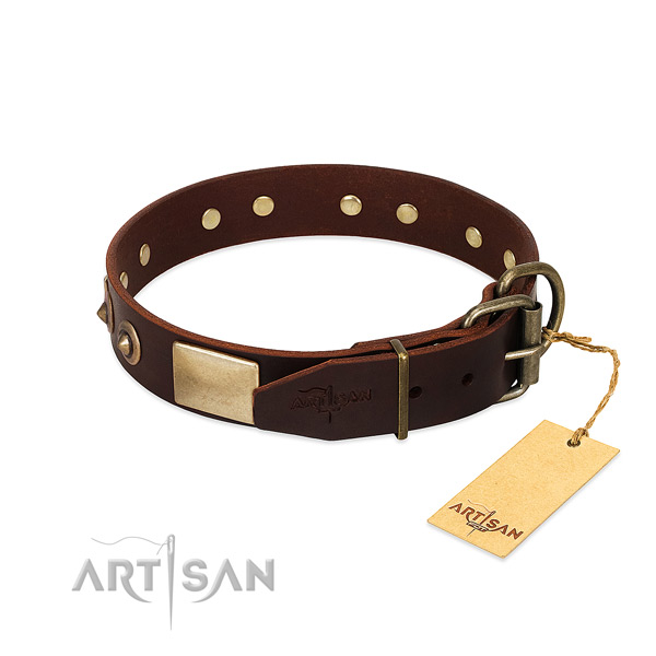 Reliable fittings on everyday walking dog collar