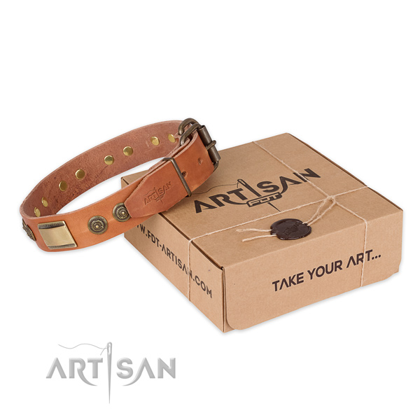 Rust resistant hardware on full grain natural leather dog collar for walking