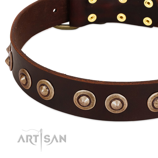 Corrosion proof studs on natural genuine leather dog collar for your canine