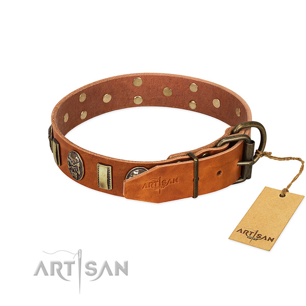 Corrosion proof D-ring on full grain leather collar for stylish walking your dog