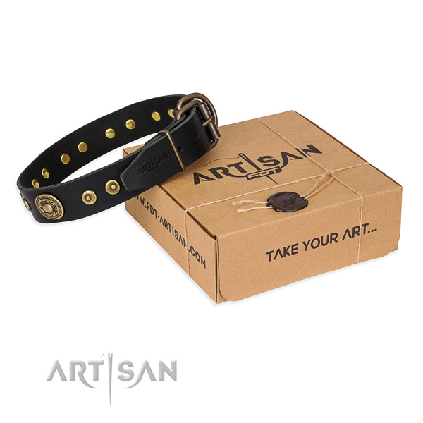 Full grain leather dog collar made of top rate material with corrosion proof traditional buckle