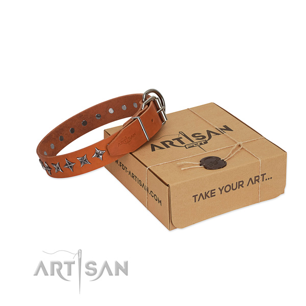 High quality natural leather dog collar with extraordinary studs