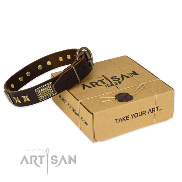 Corrosion proof fittings on leather collar for your impressive dog
