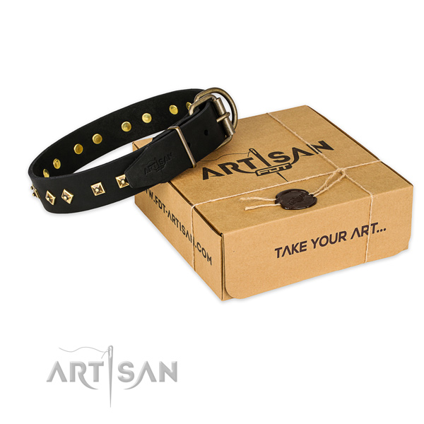 Rust-proof traditional buckle on leather collar for your beautiful pet