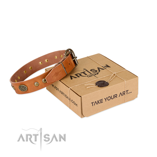 Rust-proof adornments on genuine leather dog collar for your pet